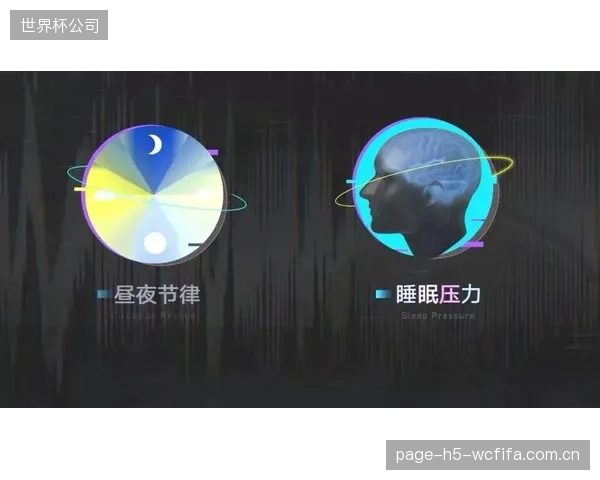 医疗团队已制定详细的差旅恢复计划，利用光照疗法等手段帮助球员快速调整生物钟。